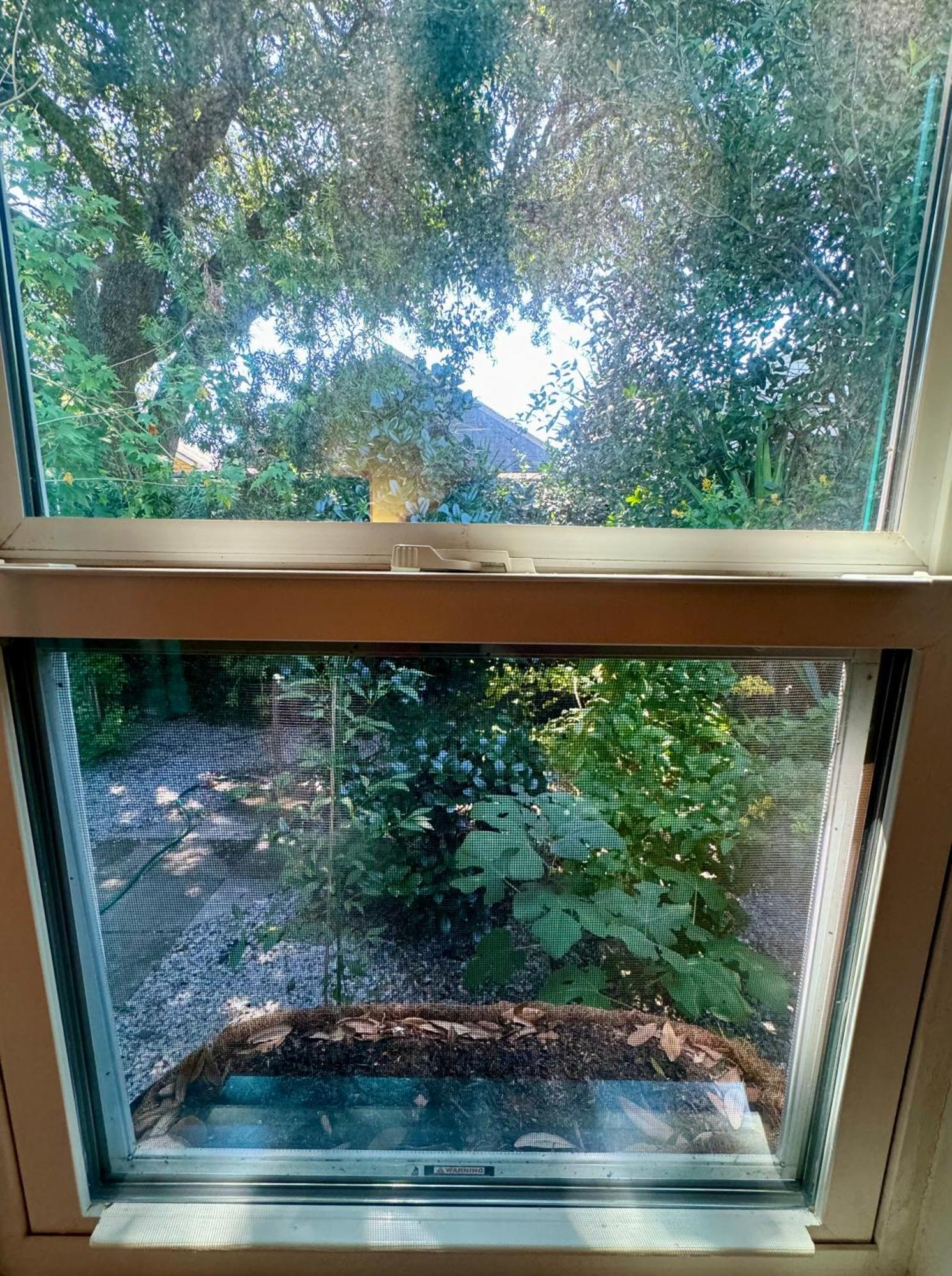 One Bedroom Apartment With Hot Tub 2 Blocks To Magazine Street New Orleans Eksteriør bilde