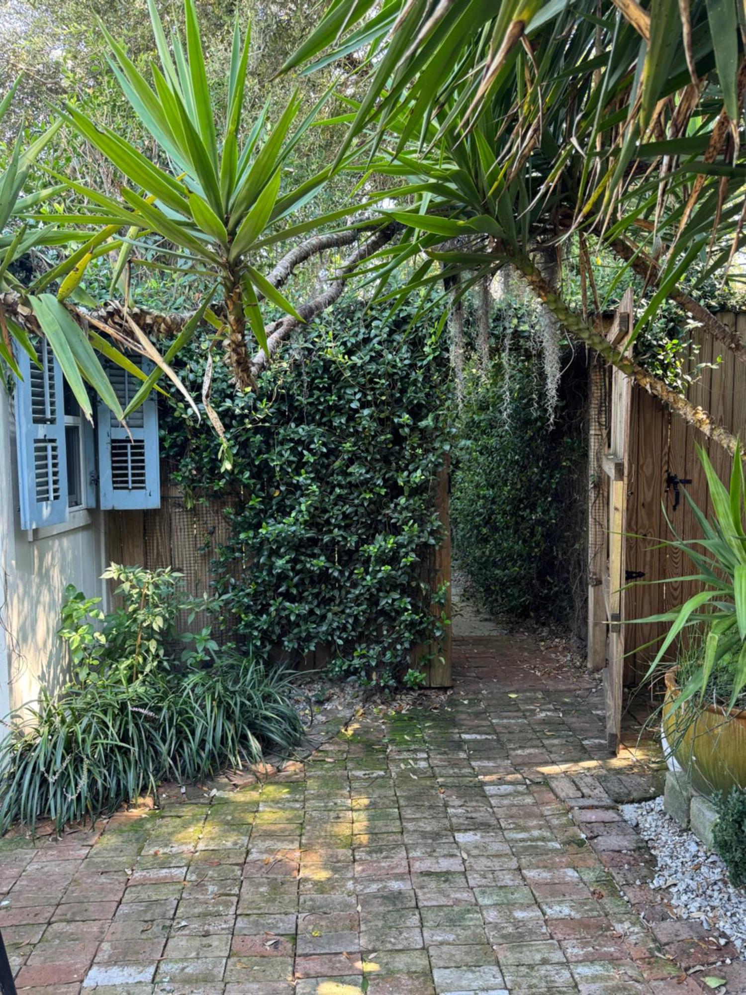 One Bedroom Apartment With Hot Tub 2 Blocks To Magazine Street New Orleans Eksteriør bilde